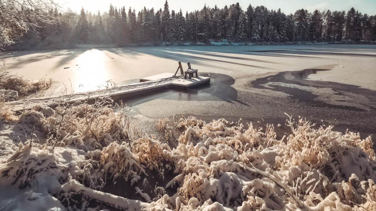 Taiga School Hotel Virrankyla Eksteriør billede