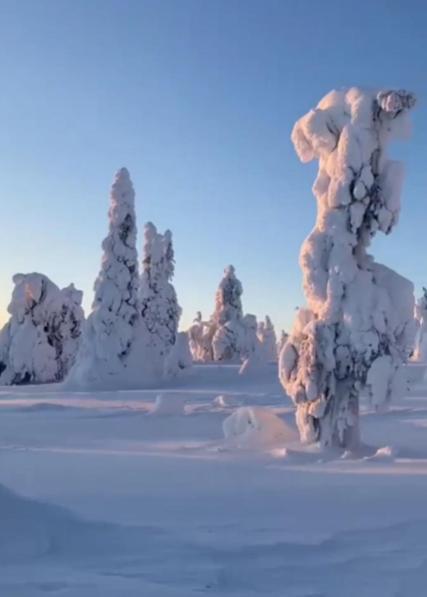 Taiga School Hotel Virrankyla Eksteriør billede